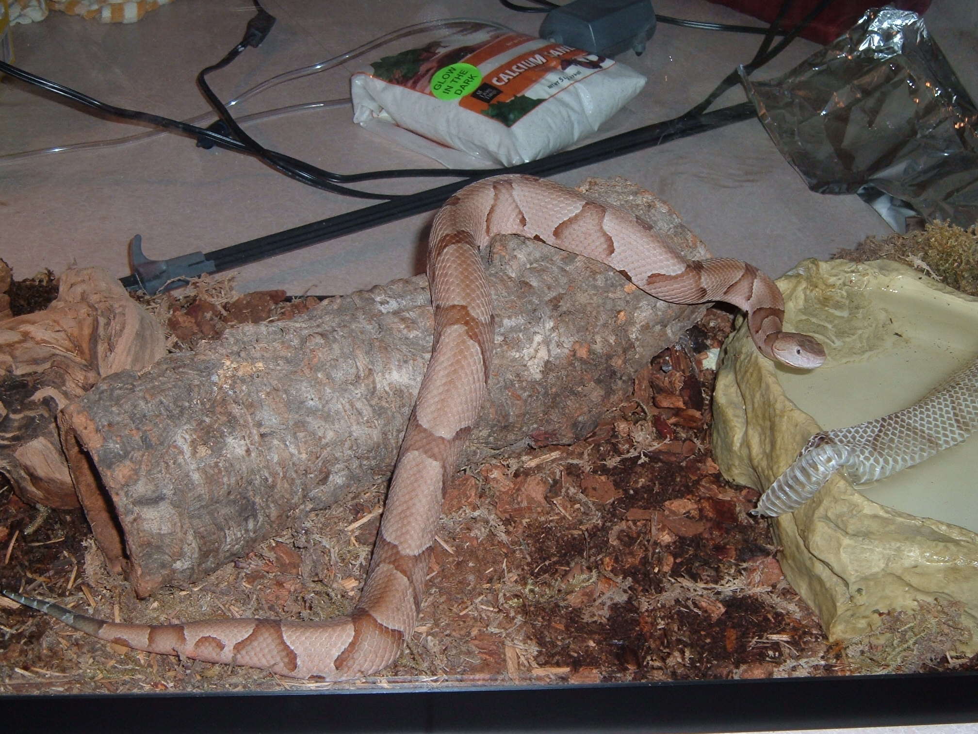 Picture 010.jpg [739 Kb]